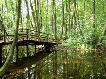 Landgasthof Zum Muehlenteich Eggersdorf  Eksteriør bilde